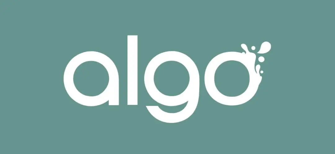Logo Algo Paint