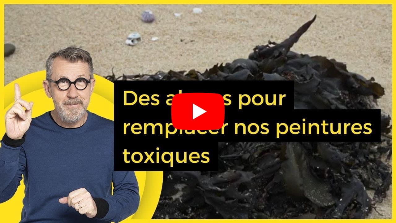 Miniature vidéo de présentation des peintures Algo