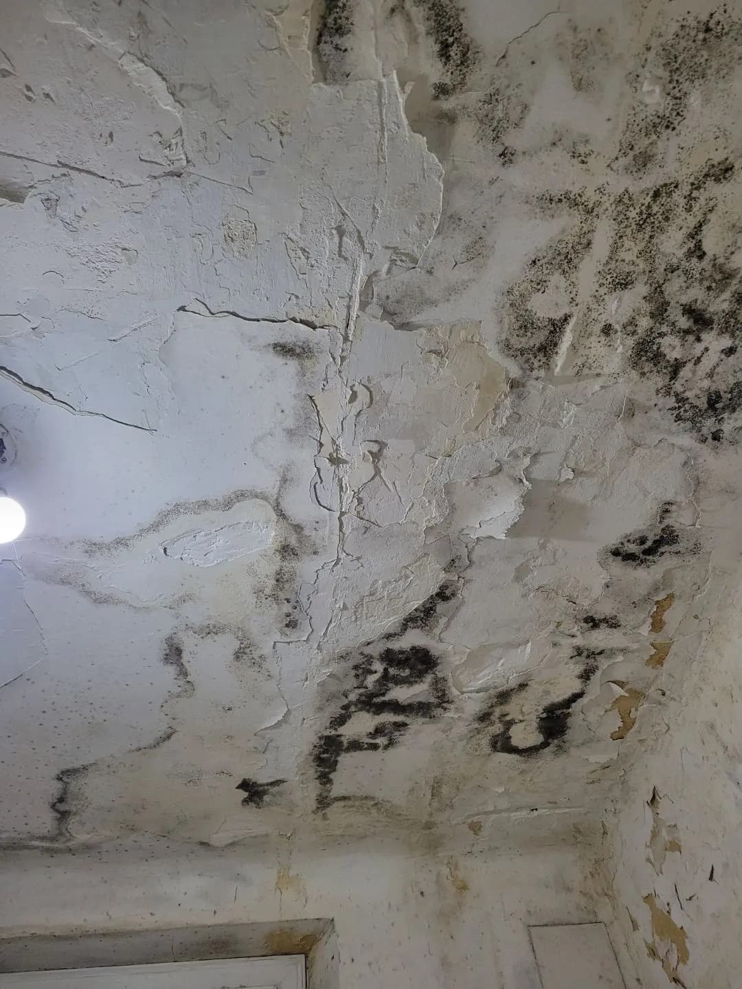 Plafond marqué par un dégât des eaux avant intervention de peinture intérieure.